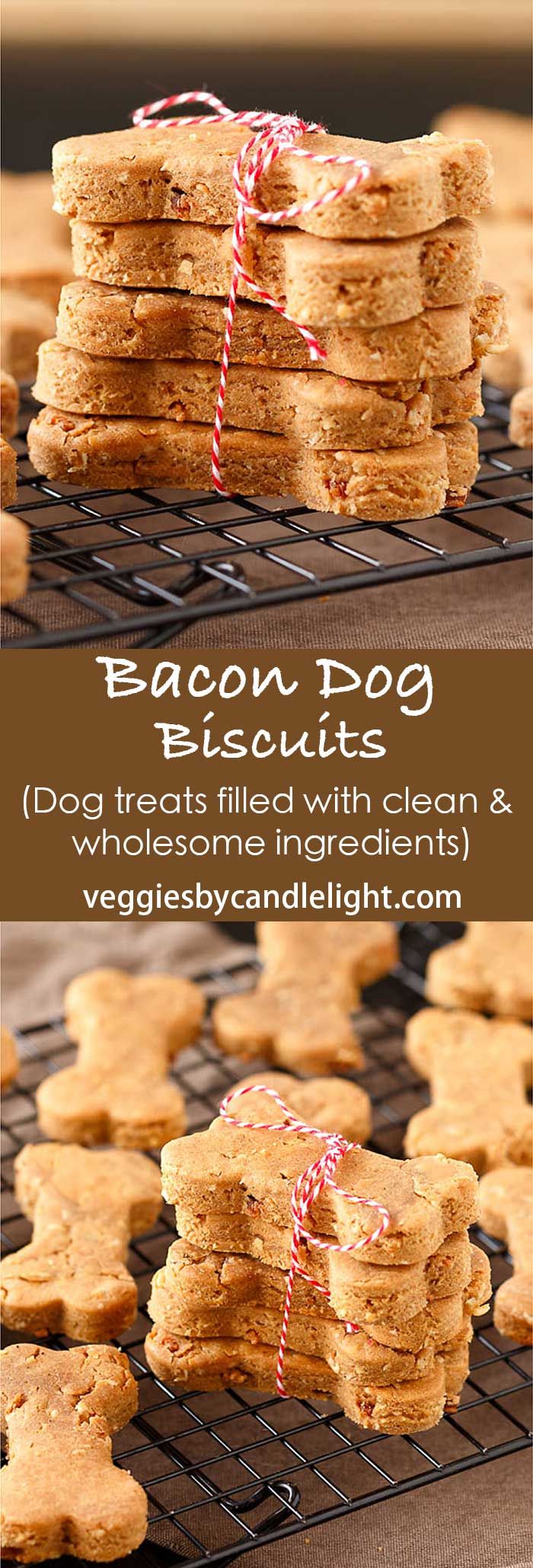 Good Lid Food For French Bulldogs Good Lid Food For French Bulldogs