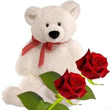 Pin Von Heinrich Thoben Auf Rosen Pinterest Good Night Teddy
