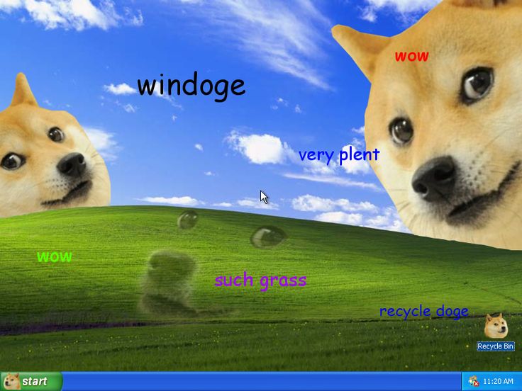 231 best doge images on pinterest ha ha, funny stuff and so funny 941b50a6b6255aa71635308a0d22f00f windows desktop windows xp 231 best doge images on pinterest ha ha, funny stuff and so funny
