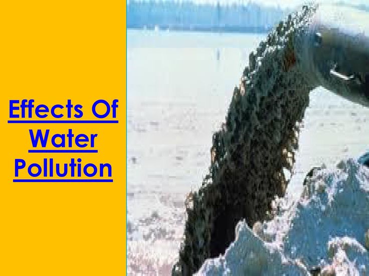 The 25+ best Effects of water pollution ideas on Pinterest ... The 25+ best Effects of water pollution ideas on Pinterest ...