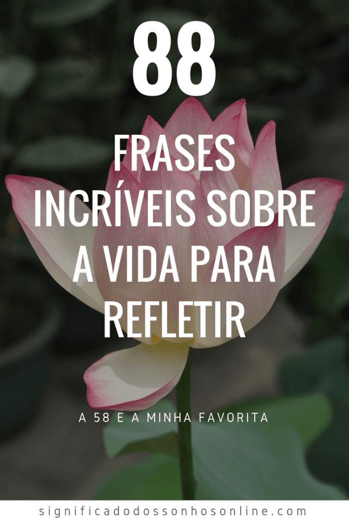 Historias Para Refletir Sobre A Vida Pin on Good Vibes