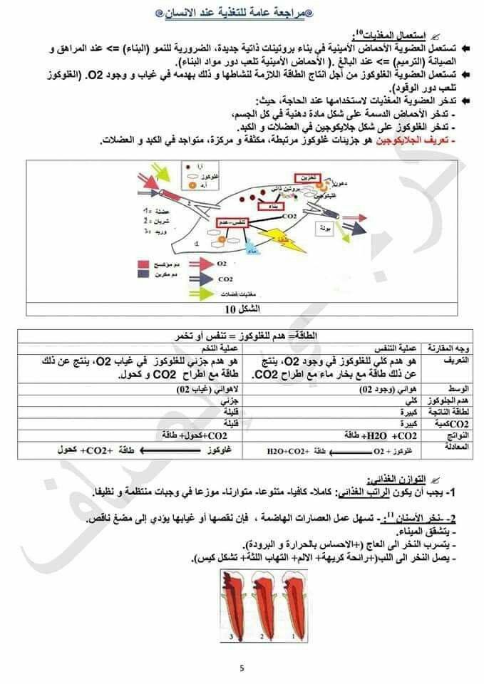 تعريف بالراتب للقطاع الخاص