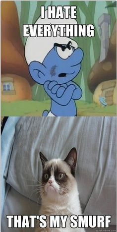 best 25 funny grumpy cat memes ideas on pinterest grumpy cat 94601c0cfcd5f2612d00aacea9584b4e funny grumpy cat memes grumpy kitty best 25 funny grumpy cat memes ideas on pinterest grumpy cat,Funny Clean Grumpy Cat Memes