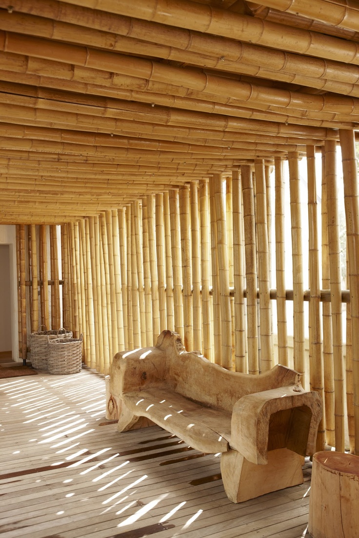 67 best bamboo images on pinterest | bamboo ideas, garden ideas 67 best bamboo images on pinterest | bamboo ideas, garden ideas
