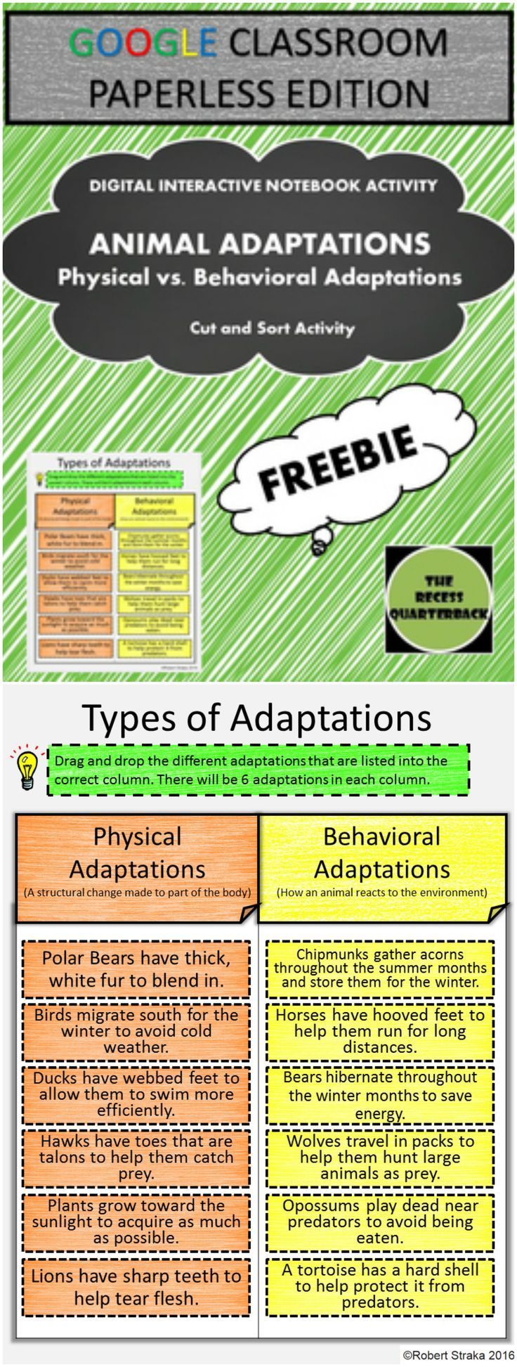 1764 best science animals animal adaptations images on venn diagram on google docs