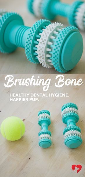 #dangerous #problems #brushing #brushing #purchase #dangerous #problems #brushing #brushing #purchase