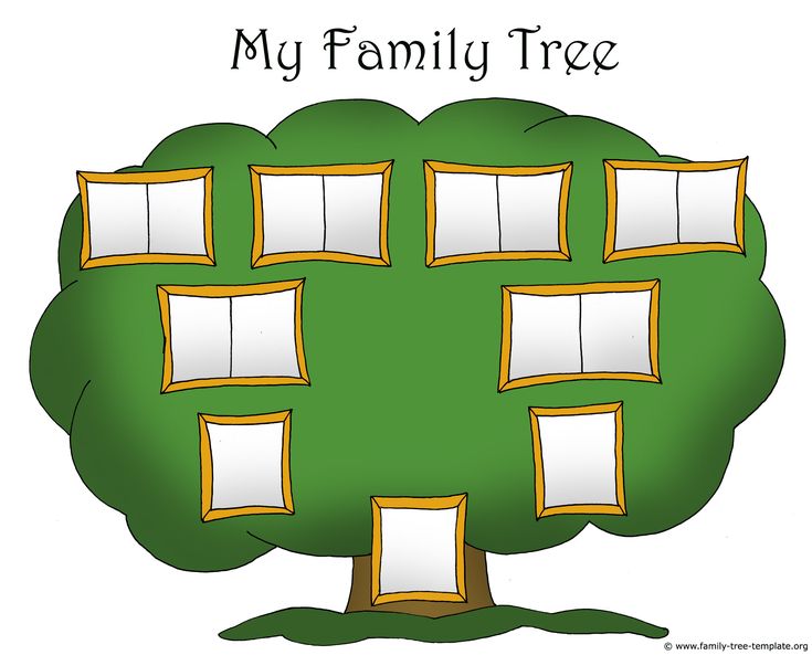 Best 25+ Family tree for kids ideas on Pinterest Family tree - family tree template Best 25+ Family tree for kids ideas on Pinterest Family tree - family tree template