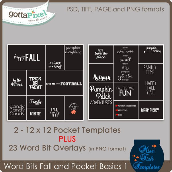 basics templates