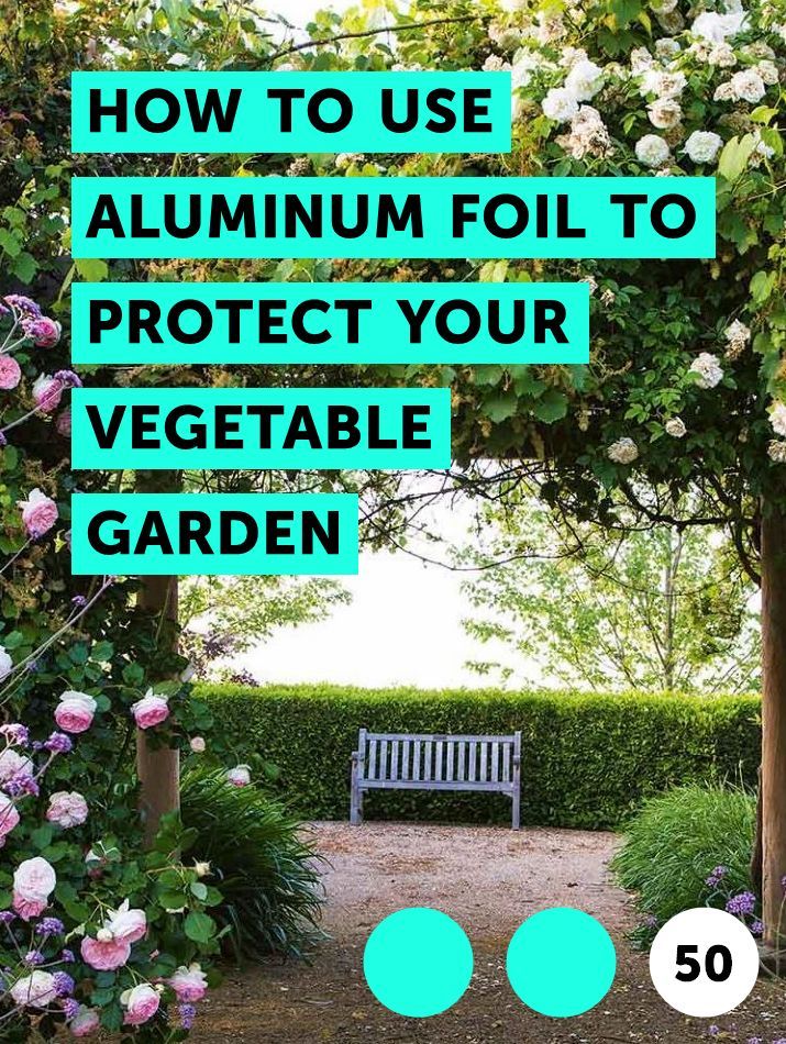 Learn How to Use Aluminum Foil to Protect Your Vegetable Garden How