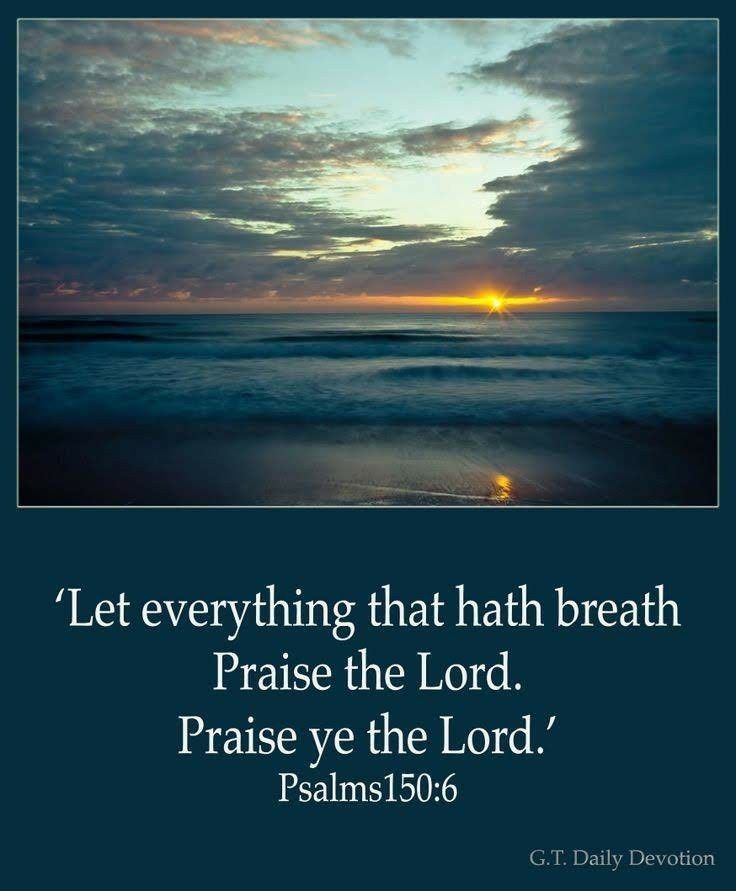 Pin By Joanne Whitney On In All Things Give Thanks Jesus Scriptures Life Verses Encouraging Scripture