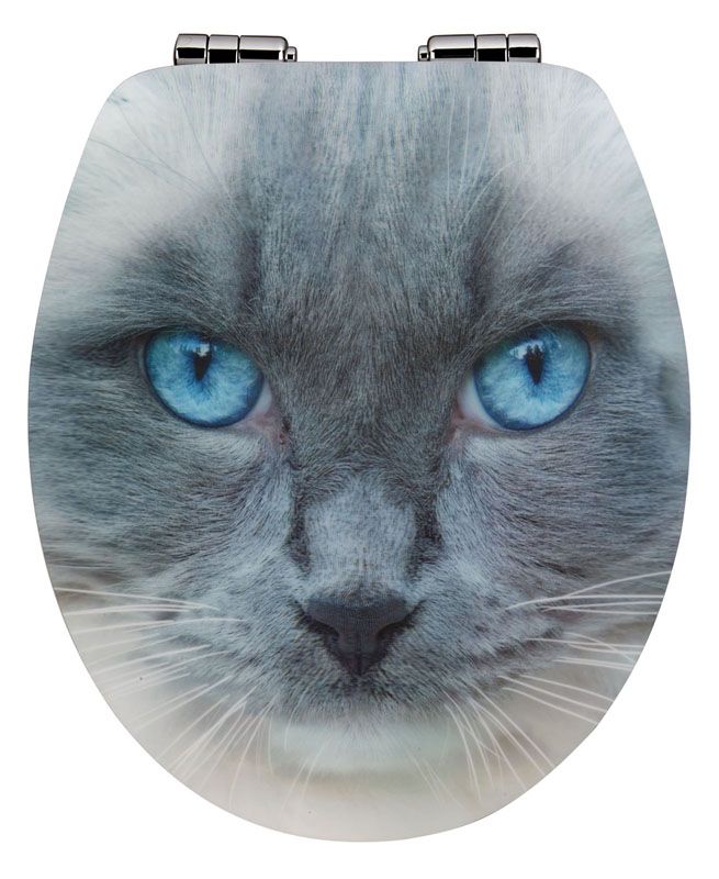 85 best Toilettendeckel images on Pinterest 85 best Toilettendeckel images on Pinterest