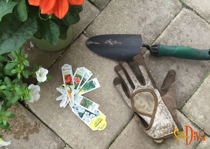 Garden Ideas Videos ideas videos this pin and more on simple to Garden Ideas Videos ideas videos this pin and more on simple to