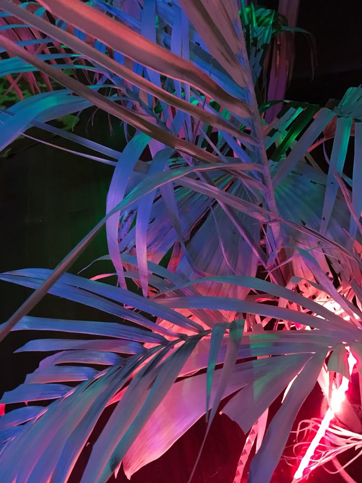 a palm tree is lit up with purple and green lights