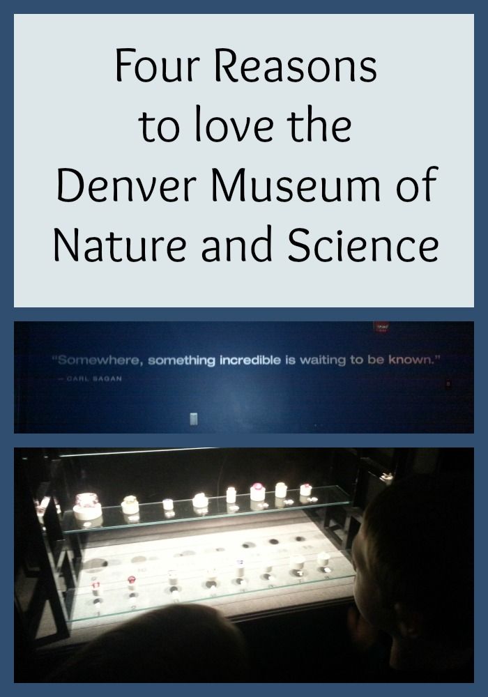 Houston museum of natural science discount coupons