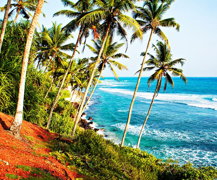 Palm Beach in 2021 | Outdoor, Scenery, Outdoor decor