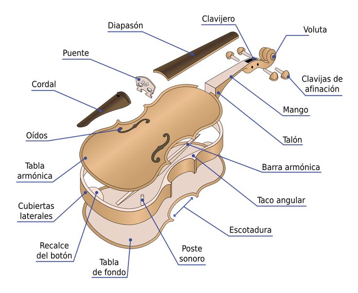 Violín Wikipedia La Enciclopedia Libre Violines Notas De Violin Fotografía De Violín