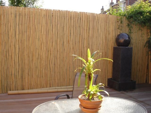 Bambú como pantalla de balcón: ideas con plantas, esteras y Bambú como pantalla de balcón: ideas con plantas, esteras y