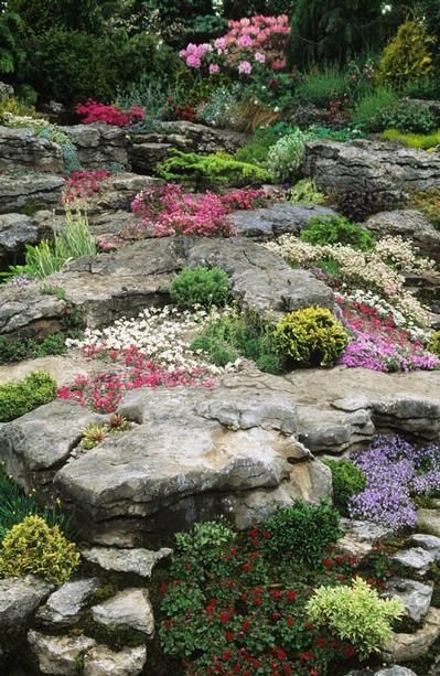 Garden Pictures Ideas 538 best rock garden ideas images on pinterest | garden ideas Garden Pictures Ideas 538 best rock garden ideas images on pinterest | garden ideas