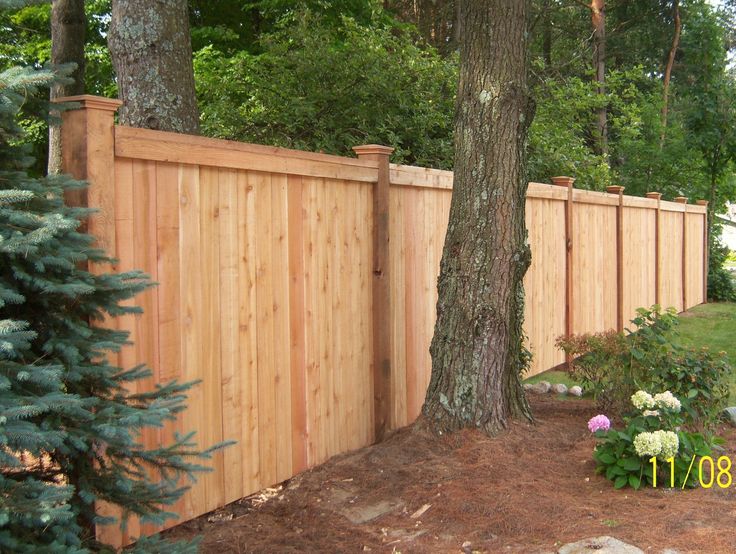 Privacy Fence Gate Ideas 571 best fences images on pinterest | fence ideas, gate ideas and Privacy Fence Gate Ideas 571 best fences images on pinterest | fence ideas, gate ideas and