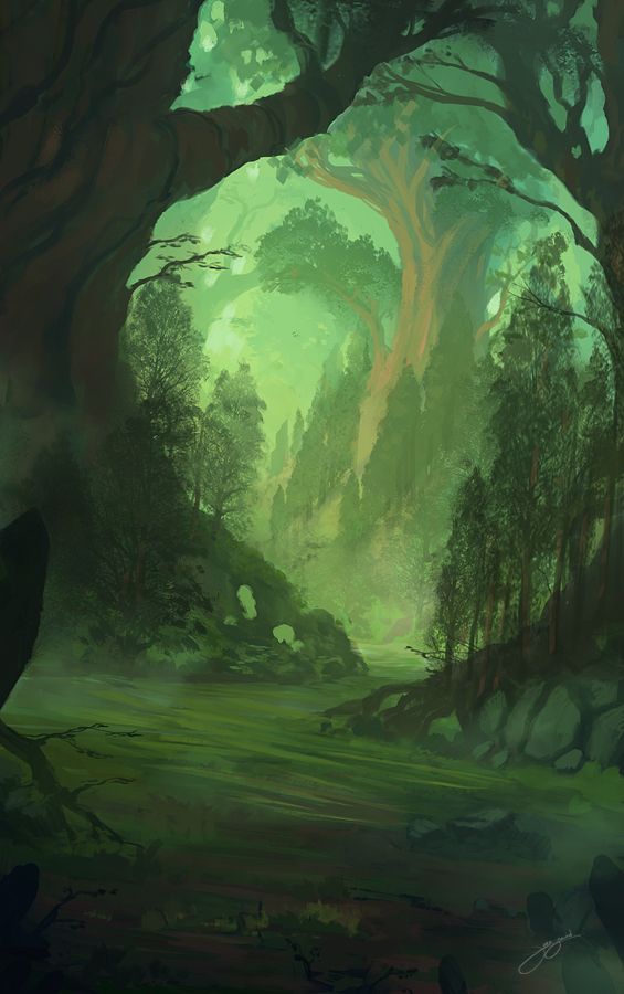 the jungle essay prompt the jungle essay prompt
