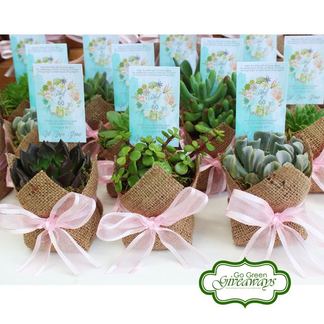 Succulents birthday giveaways, Succulents, Philippine Weddings, Events