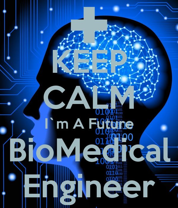Biomedical engineering essay