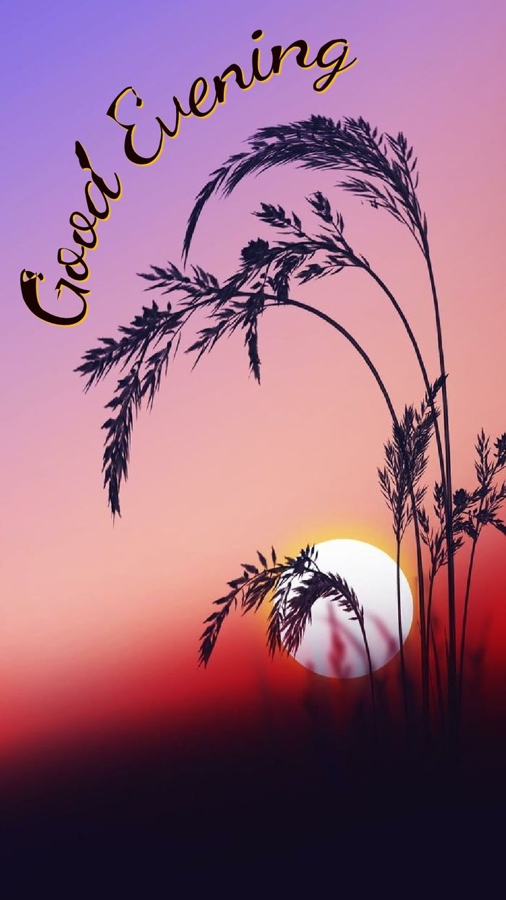 Pin by Lalit RANA on Good evening*afternoon in 2020 | Sunrise wallpaper