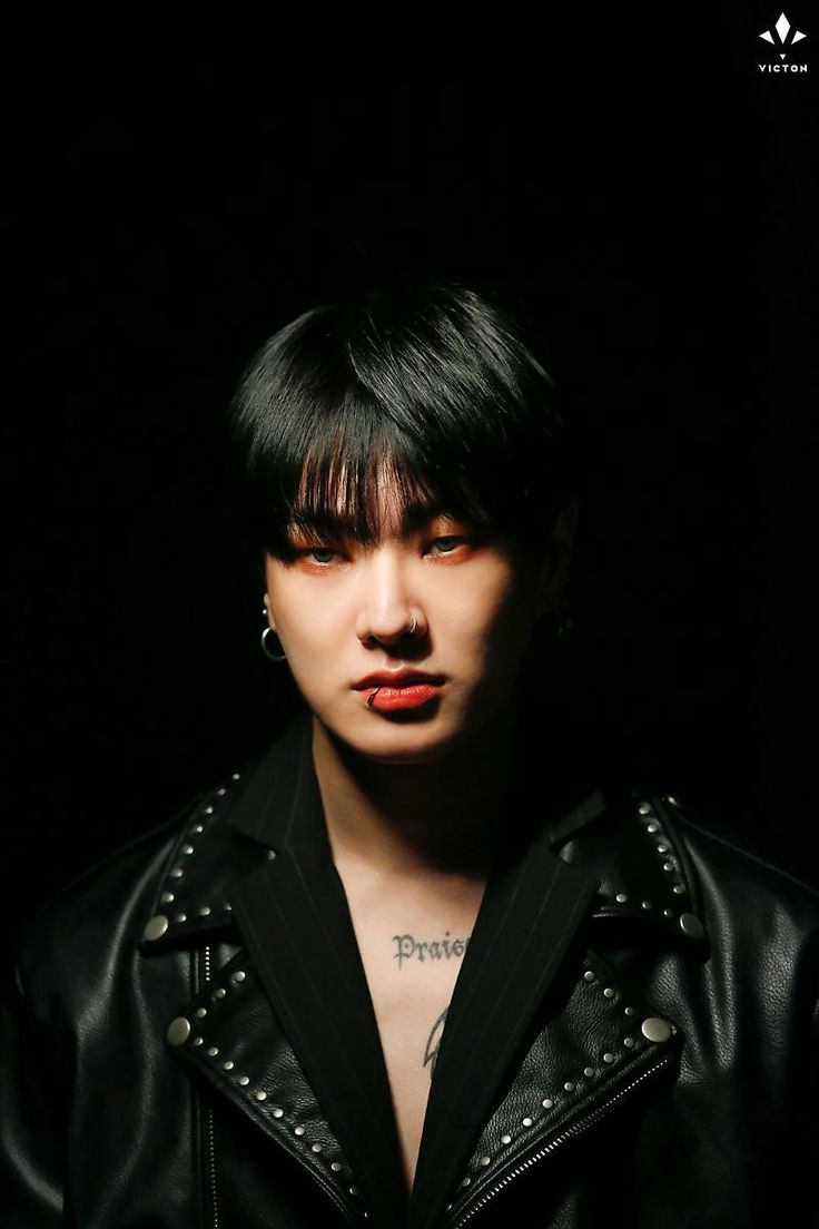 do hanse em 2020 victon k idols crushs do hanse em 2020 victon k idols crushs