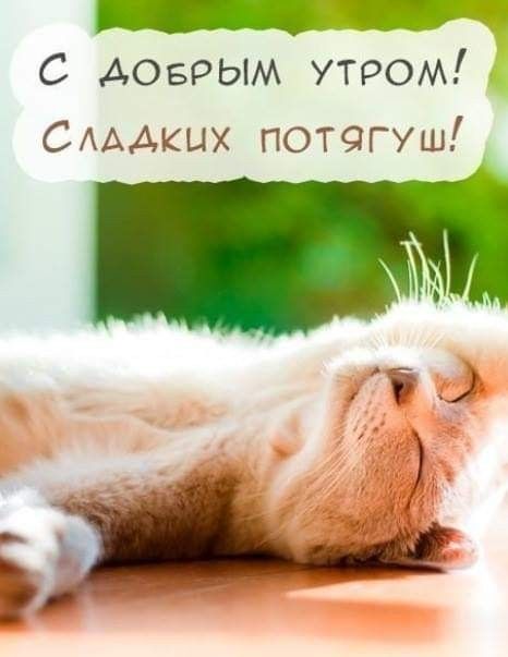 Картинки доброе утро мой сладкий и хорошего дня