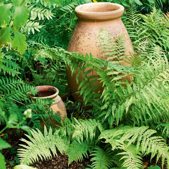 Best 20+ Cottage Garden Design Ideas On Pinterest English Garden Country cottage garden tour - Best 20+ Cottage Garden Design Ideas On Pinterest English Garden