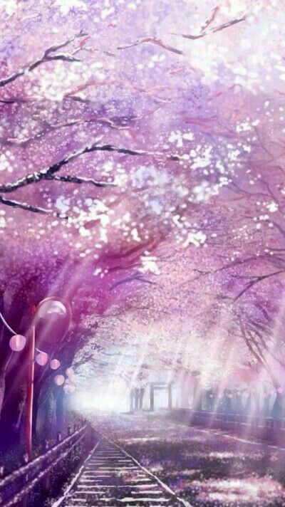 Pinkish Manga ミ ゚ ゚ 風景 桜イラスト 幻想的なイラスト Pinkish Manga ミ ゚ ゚ 風景 桜イラスト 幻想的なイラスト