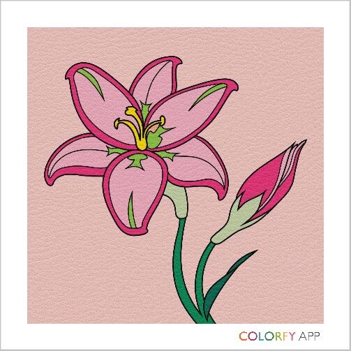 Download Kindle Fire App Colorfy | Colorfy, Art, Phone art