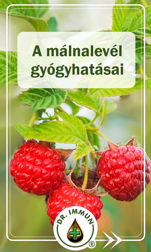 málna fogyasztható magas vérnyomás esetén