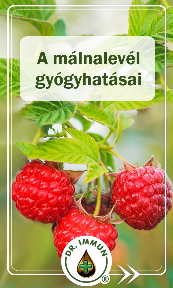 A málnalevél tea 8 hatása