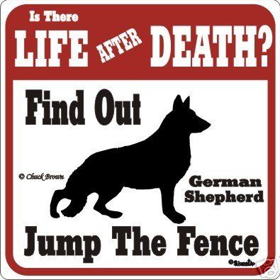 51 Best Bad Dog Sign Images On Pinterest Signs Guard And Dogs Funny German Shepherd Pictures Beware Of Dog Signs Forums