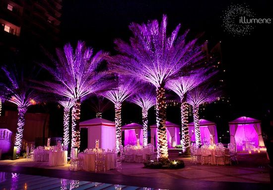 Modern Uplighting For Weddings And Corporate Events Under The Modern uplighting for weddings and corporate events | Under the Sky: Trees | Pinterest | Corporate events, Weddings and Wedding - Modern Uplighting For Weddings And Corporate Events Under The