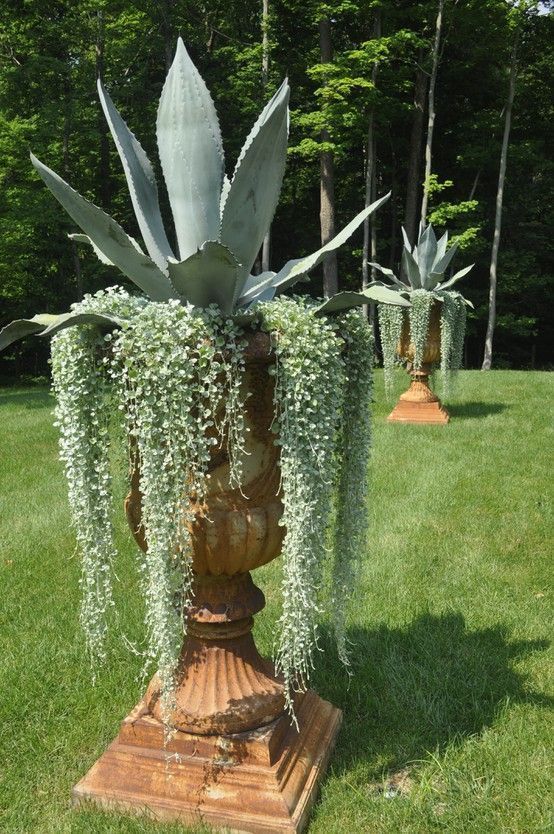 22 Diy Cascading Planter Garden Design Pinterest Planters 22 Diy Cascading Planter Garden Design Pinterest Planters Container Gardening And