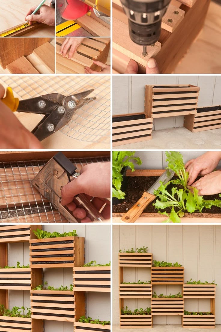 best 25+ vertical vegetable gardens ideas only on pinterest | tiny best 25+ vertical vegetable gardens ideas only on pinterest | tiny