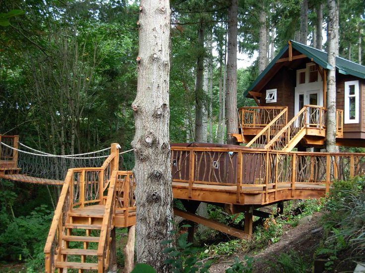 Tree House Interior best 25+ cool tree houses ideas on pinterest | tropical outdoor Tree House Interior best 25+ cool tree houses ideas on pinterest | tropical outdoor