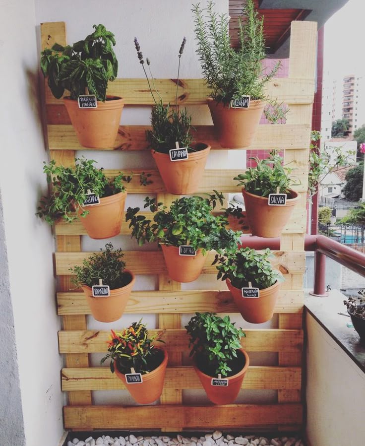 Resultado de imagem para horta em apartamento pequeno