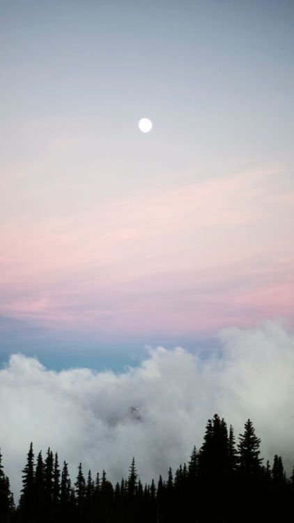 7130b429d0d1225340dc86090ebc75a9 wallpapers tumblr tumblr
