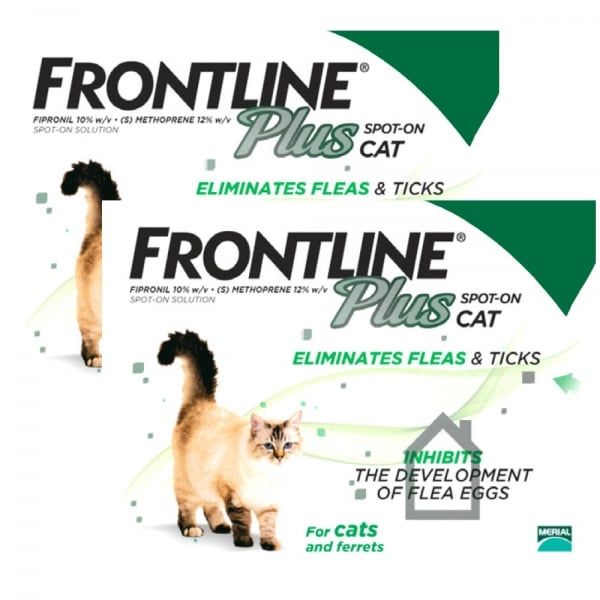 Norbrook Clearspot Spot On Flea Treatment For Dogs Cats Norbrook Clearspot Spot On Flea Treatment For Dogs Cats