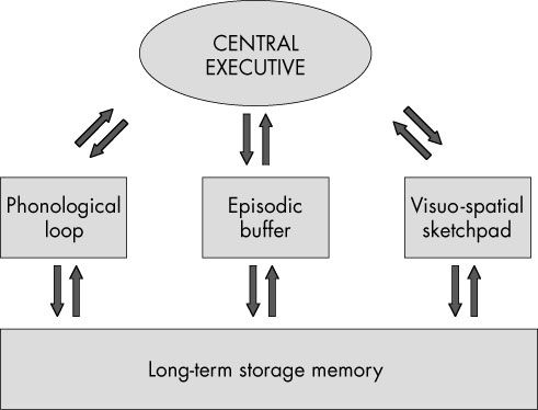 memory psychology