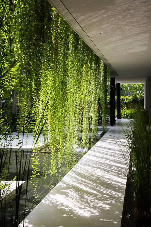 Hanging Garden Ideas hanging planterroom divider Rapporto Con Il Luogo Introverso Sostenibilit Energetico Ambientale Hanging Garden Ideas 21 most attractive diy hanging garden ideas to break the monotony in every space Rapporto Con Il Luogo Introverso Sostenibilit Energetico Ambientale