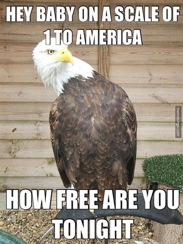 52 best words images on pinterest funny memes, funny stuff and 9706ff9e034a0668f0cf1c89e9b1631e funny work meme funny memes 52 best words images on pinterest funny memes, funny stuff and,Are You Free This Weekend Meme