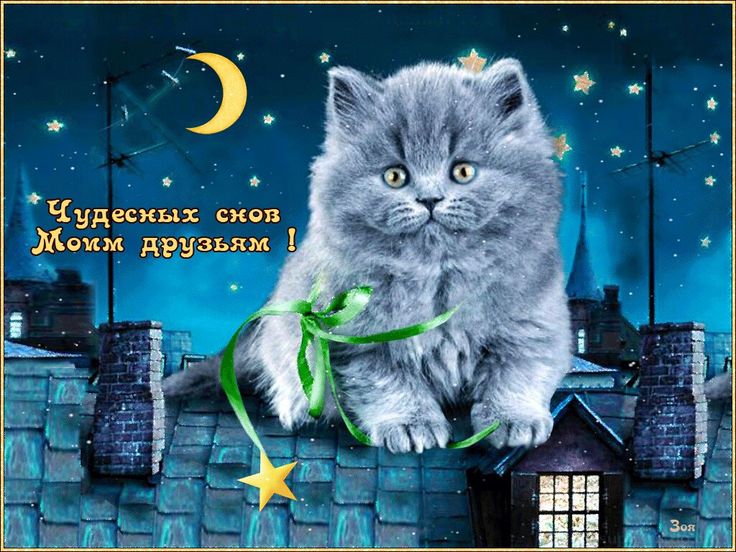 Картинки открытки доброго вечера и спокойной ночи, своими