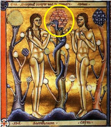the religious condemnation of magic in the early middle ages Red hair was apparently a sign of witchcraft in a red beard in the artwork of the middle ages an early example of christian condemnation of. the religious condemnation of magic in the early middle ages Red hair was apparently a sign of witchcraft in a red beard in the artwork of the middle ages an early example of christian condemnation of.