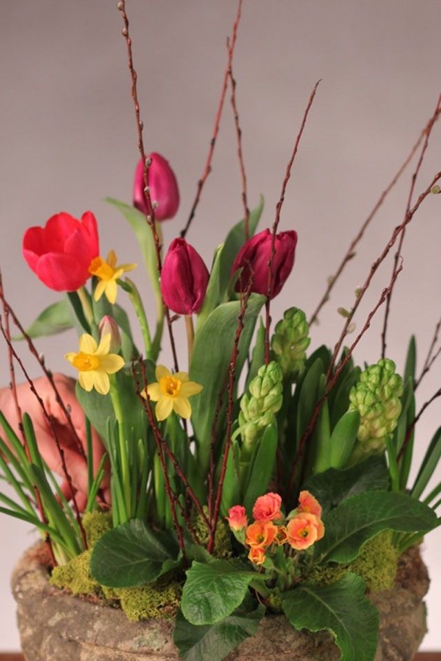 Spring Table Decorations 134 best spring tables images on pinterest | spring, tabletop and Spring Table Decorations 134 best spring tables images on pinterest | spring, tabletop and