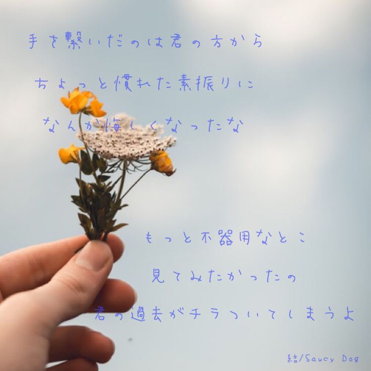 歌詞の続きは画像をクリック 恋 言葉 恋 ポエム 名言 恋愛 歌詞の続きは画像をクリック 恋 言葉 恋 ポエム 名言 恋愛