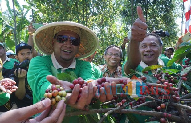 Wisata Kopi Menjadi Aktivitas Pariwisata Andalan Di Wisata Kopi Menjadi Aktivitas Pariwisata Andalan Di